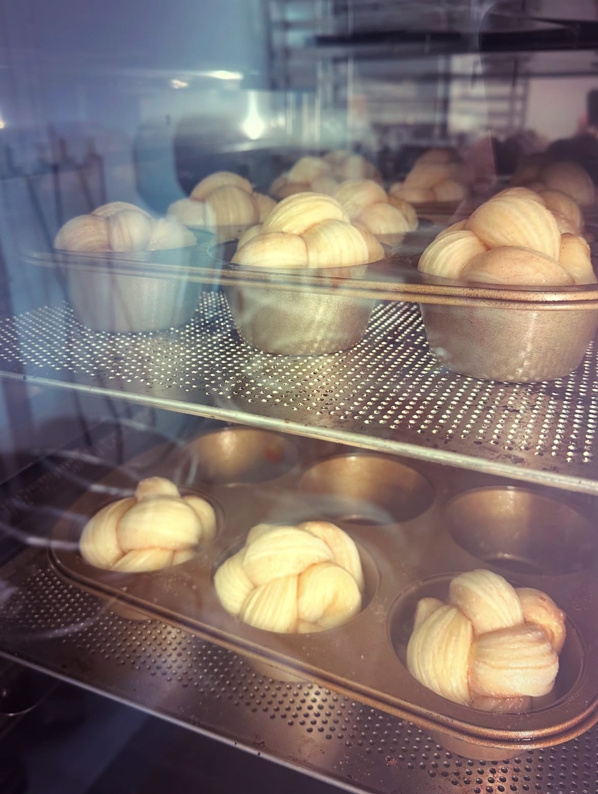 Brioche knots proofing in the bakery